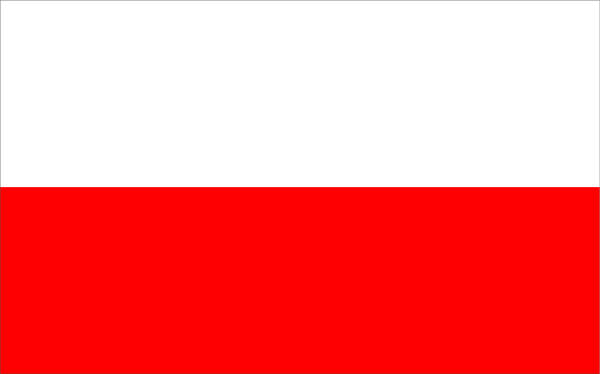 duza flaga polski